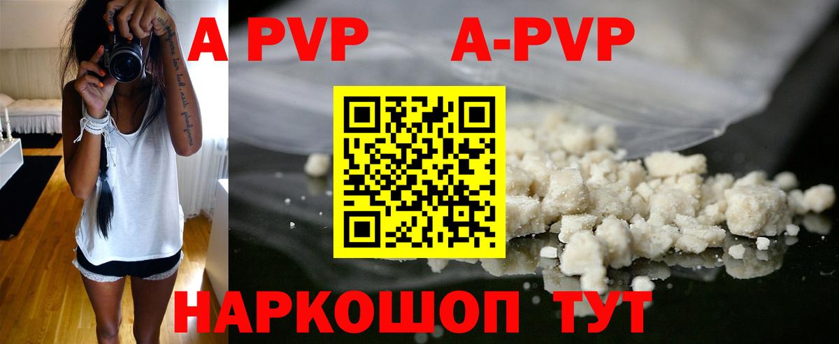 где найти   Alpha PVP СК  Вход с VPN  Рассказово  А ПВП СК КРИС 