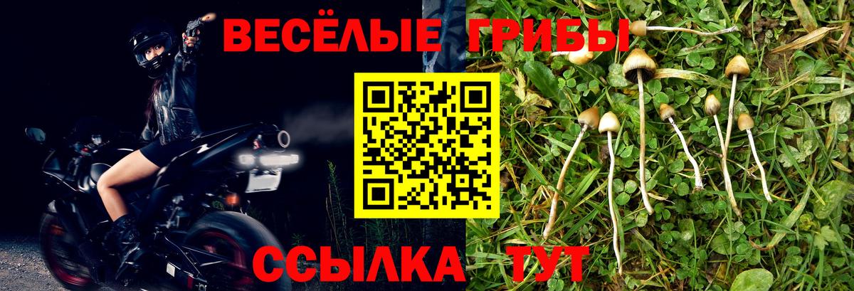 Галлюциногенные грибы Cubensis  Галлюциногенные грибы мицелий  Рассказово  Вход с VPN 